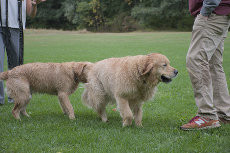20250923_Imby and Dog Park__DSC0178_.jpg