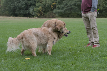 20250923_Imby and Dog Park__DSC0182_.jpg