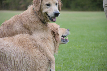 20250923_Imby and Dog Park__DSC0184_.jpg