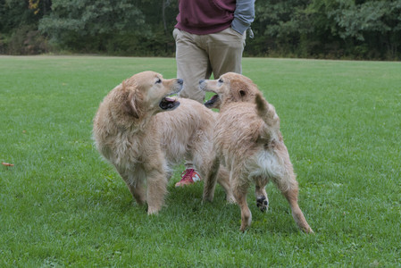 20250923_Imby and Dog Park__DSC0189_.jpg