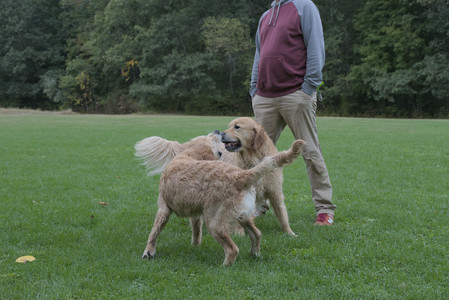 20250923_Imby and Dog Park__DSC0190_.jpg