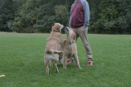 20250923_Imby and Dog Park__DSC0191_.jpg