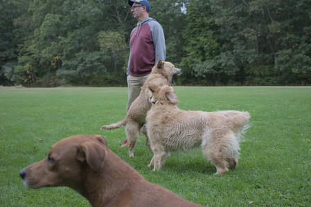 20250923_Imby and Dog Park__DSC0194_.jpg