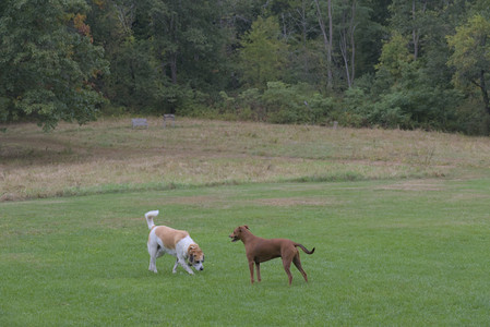 20250923_Imby and Dog Park__DSC0196_.jpg