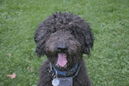 20250923_Imby and Dog Park__DSC0204_.jpg