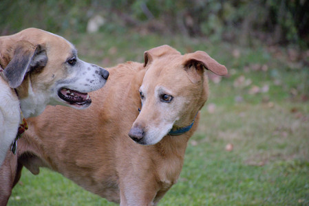 20250923_Imby and Dog Park__DSC0210_.jpg