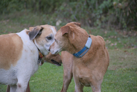 20250923_Imby and Dog Park__DSC0211_.jpg