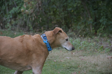 20250923_Imby and Dog Park__DSC0214_.jpg