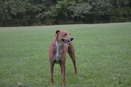 20250923_Imby and Dog Park__DSC0216_.jpg