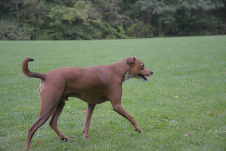 20250923_Imby and Dog Park__DSC0218_.jpg