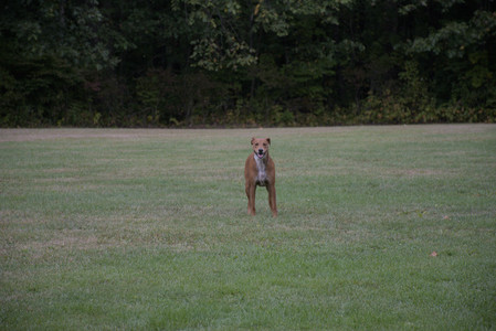 20250923_Imby and Dog Park__DSC0220_.jpg