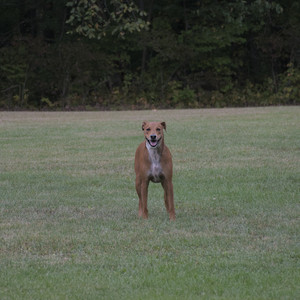 20250923_Imby and Dog Park__DSC0221_.jpg