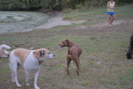 20250923_Imby and Dog Park__DSC0222_.jpg