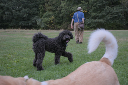 20250923_Imby and Dog Park__DSC0227_.jpg