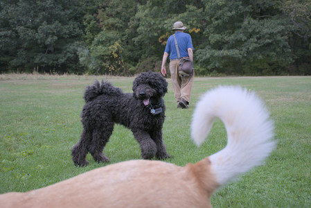 20250923_Imby and Dog Park__DSC0228_.jpg