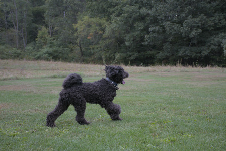 20250923_Imby and Dog Park__DSC0231_.jpg