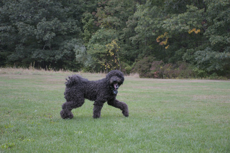 20250923_Imby and Dog Park__DSC0233_.jpg