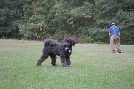 20250923_Imby and Dog Park__DSC0234_.jpg