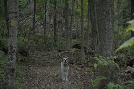 20250923_Imby and Dog Park__DSC0244_.jpg