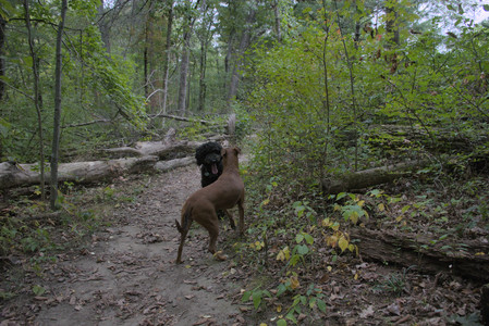 20250923_Imby and Dog Park__DSC0252_.jpg