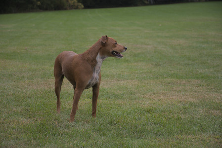 20250923_Imby and Dog Park__DSC0262_.jpg