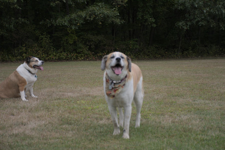 20250923_Imby and Dog Park__DSC0263_.jpg