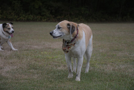 20250923_Imby and Dog Park__DSC0264_.jpg