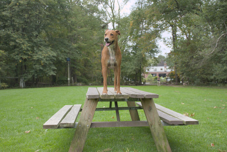 20250923_Imby and Dog Park__DSC0268_.jpg