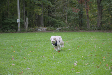 20250923_Imby and Dog Park__DSC0270_.jpg