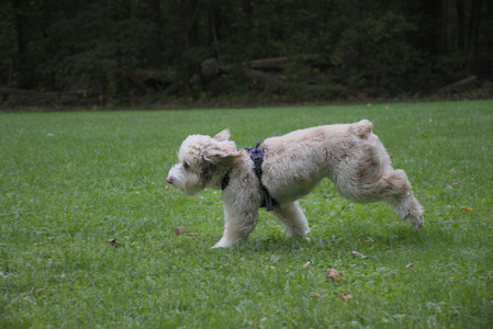 20250923_Imby and Dog Park__DSC0272_.jpg