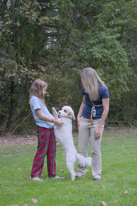 20250923_Imby and Dog Park__DSC0281_.jpg