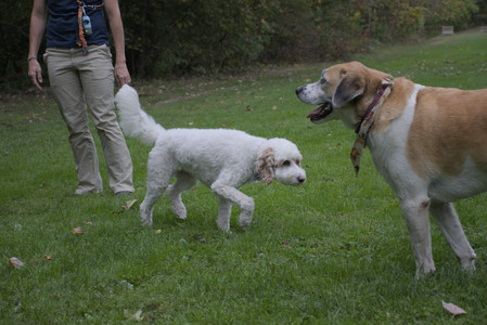 20250923_Imby and Dog Park__DSC0282_.jpg