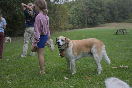 20250923_Imby and Dog Park__DSC0284_.jpg