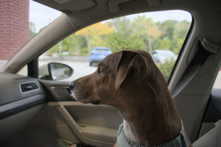 20250923_Imby and Dog Park__DSC0287_.jpg