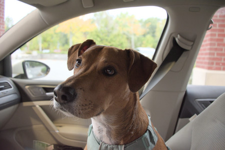 20250923_Imby and Dog Park__DSC0288_.jpg