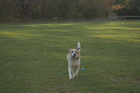 20251010_imby_and_dog_park__DSC0225_.jpg