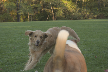 20251010_imby_and_dog_park__DSC0271_.jpg