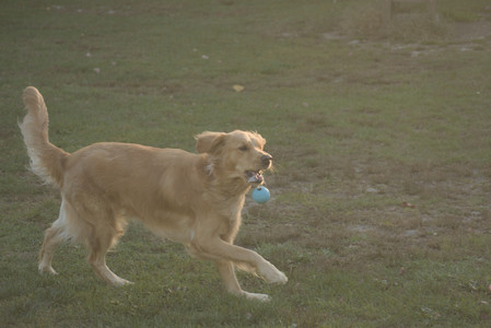 20251010_imby_and_dog_park__DSC0302_.jpg