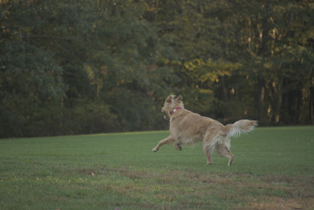 20251010_imby_and_dog_park__DSC0313_.jpg