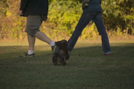 20251010_imby_and_dog_park__DSC0443_.jpg