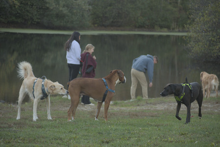 20251010_imby_and_dog_park__DSC0494_.jpg