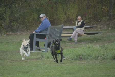 20251010_imby_and_dog_park__DSC0537_.jpg