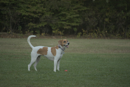 20251010_imby_and_dog_park__DSC0681_.jpg