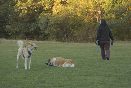 20251010_imby_and_dog_park__DSC0700_.jpg