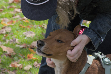 20251025_kitties and dog park with Imby__DSC0063_.jpg