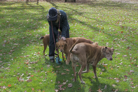 20251025_kitties and dog park with Imby__DSC0067_.jpg
