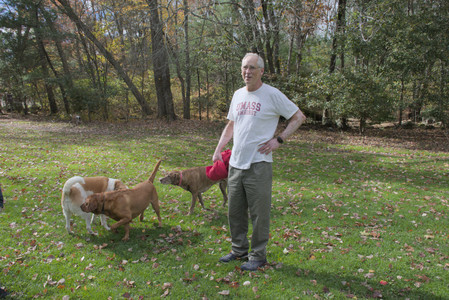 20251025_kitties and dog park with Imby__DSC0068_.jpg