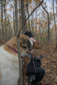 20251025_kitties and dog park with Imby__DSC0115_.jpg
