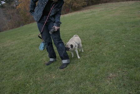 20251025_kitties and dog park with Imby__DSC0137_.jpg