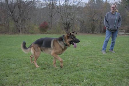 20251025_kitties and dog park with Imby__DSC0141_.jpg